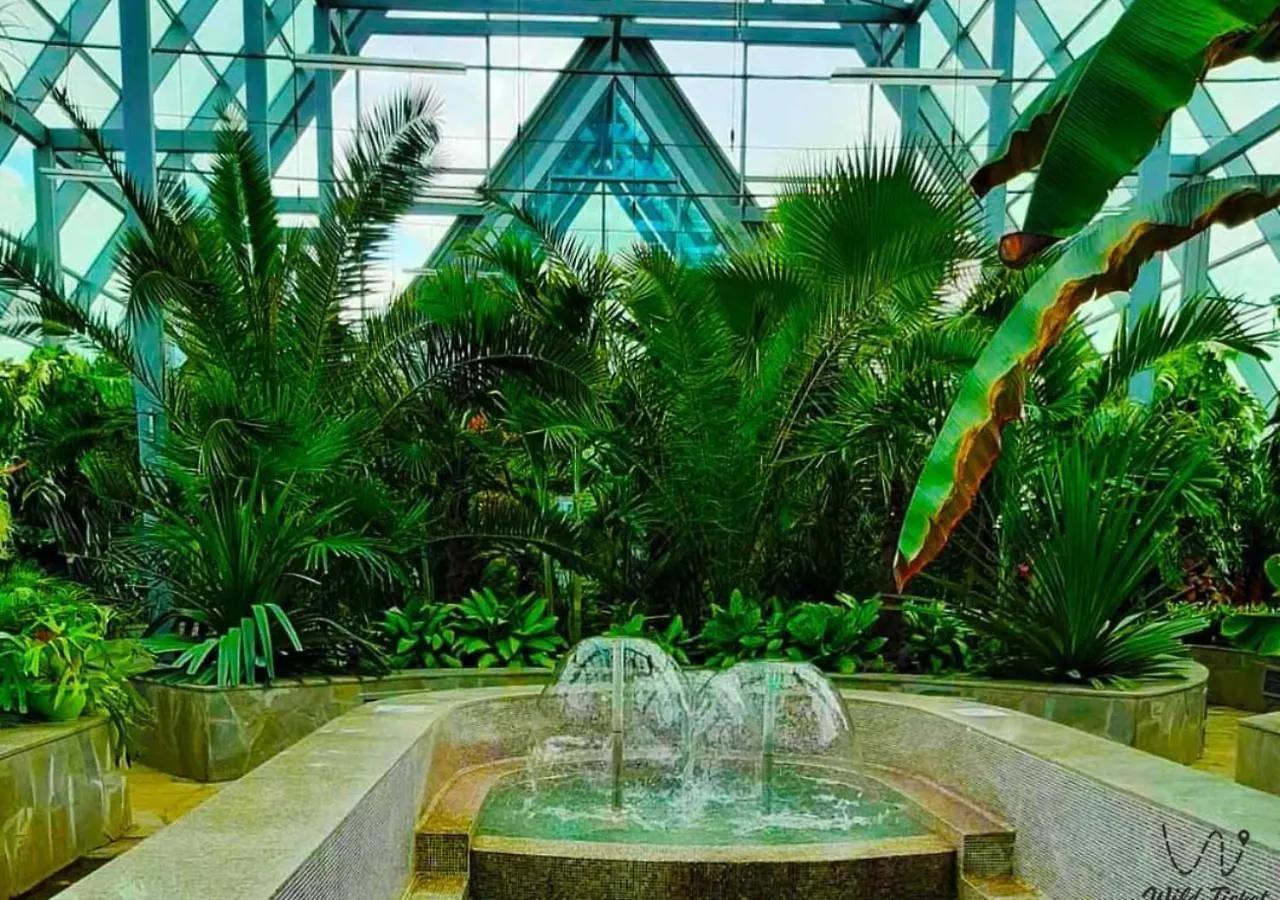 Оазис-Апартаменты У Ботанического Сада И Expo Astana Lägenhet